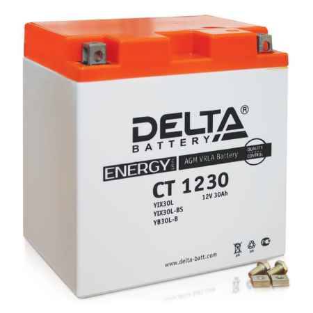 Купить Аккумулятор Delta CT 1230 12V 30а/ч (YIX30L-BS) AGM